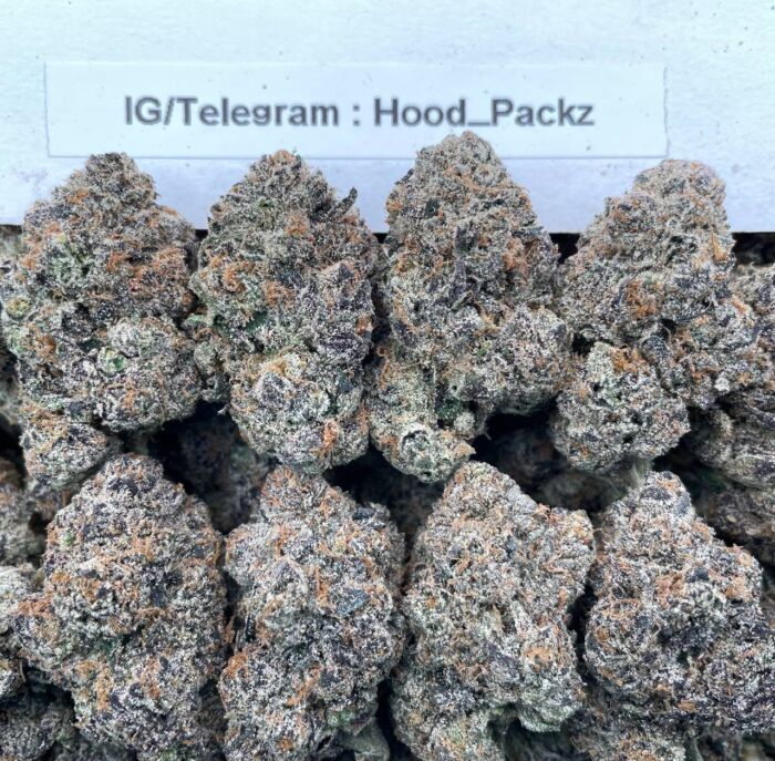 Berry Bubblegum Gumbo 🫐🍬 #G054A