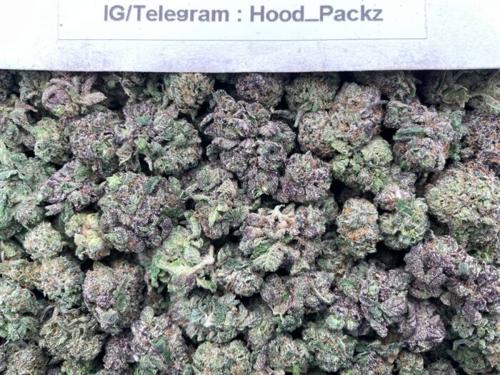 Forbidden Mini MochiZz 😶‍🌫️😵‍💫 #G063B