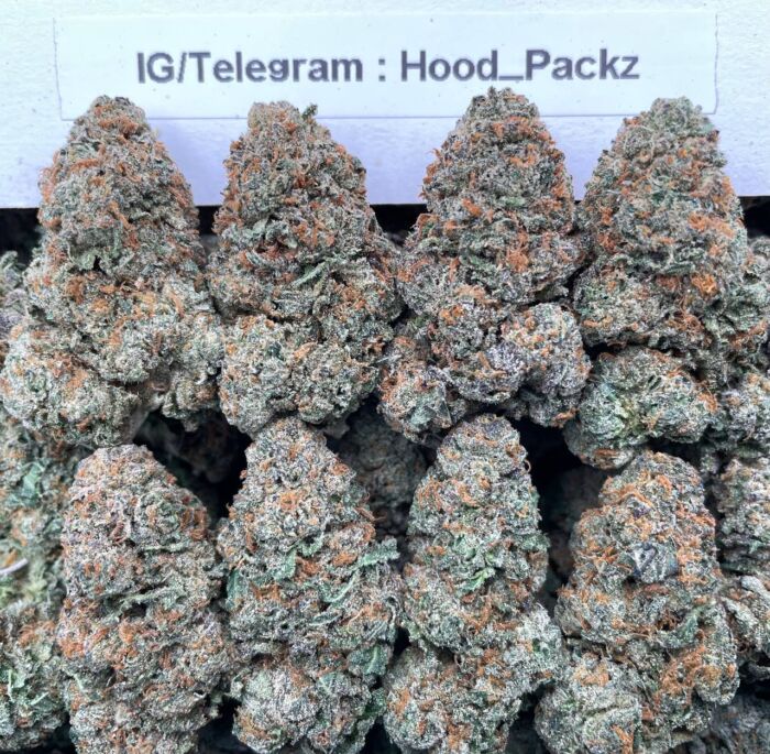 Forbidden Zour MochiZz 🤫⚡️ #G097C