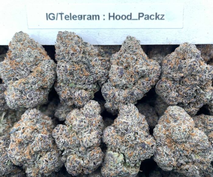 Frosted Blueberry GumboZz 🫐💠 #D243A