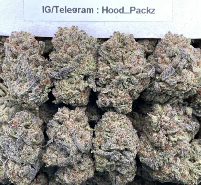 Apple Gelato King 🍏🍎 #G021B