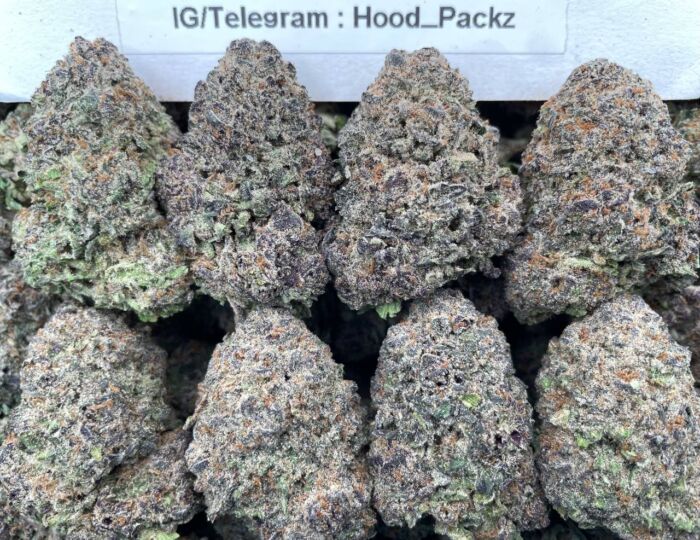 Blue Berry Blazt 🫐✴️ #E113C