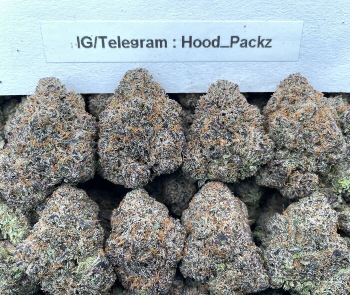 Blueberry Gelato GaZz 🫐 ⛽️ #D209C