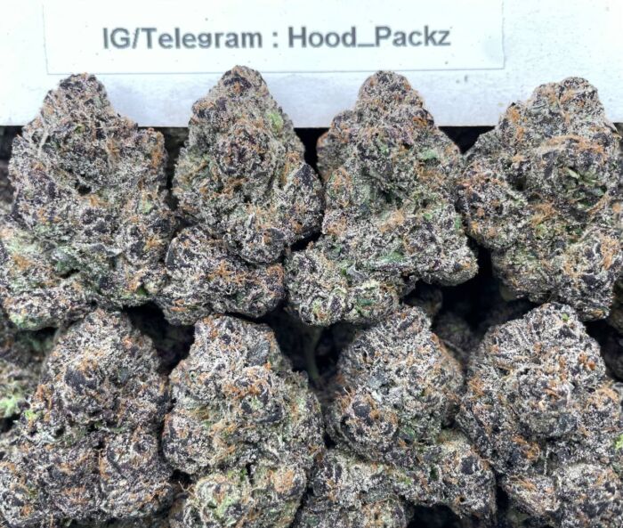 Blueberry Gelato ZkittleZz 🫐🍧 #G052A