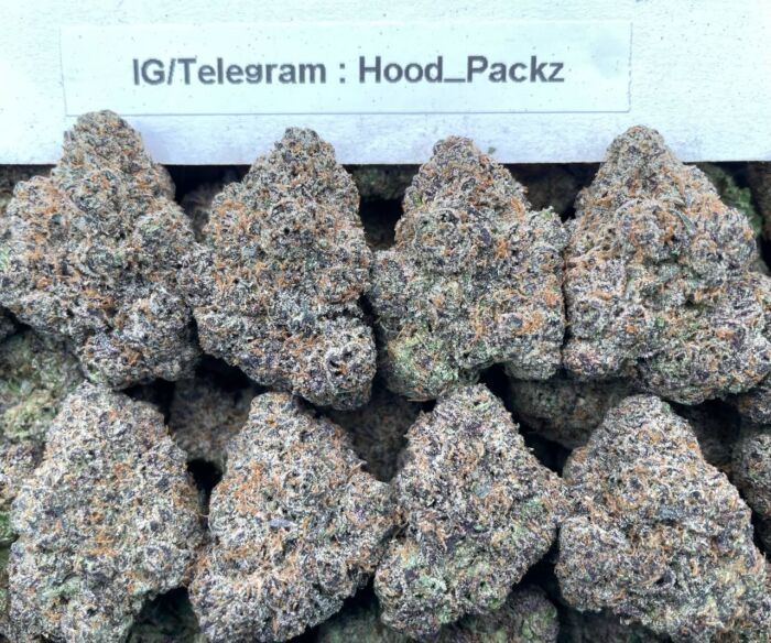 Blueberry RockstarZz 🫐😮‍💨 #D230B