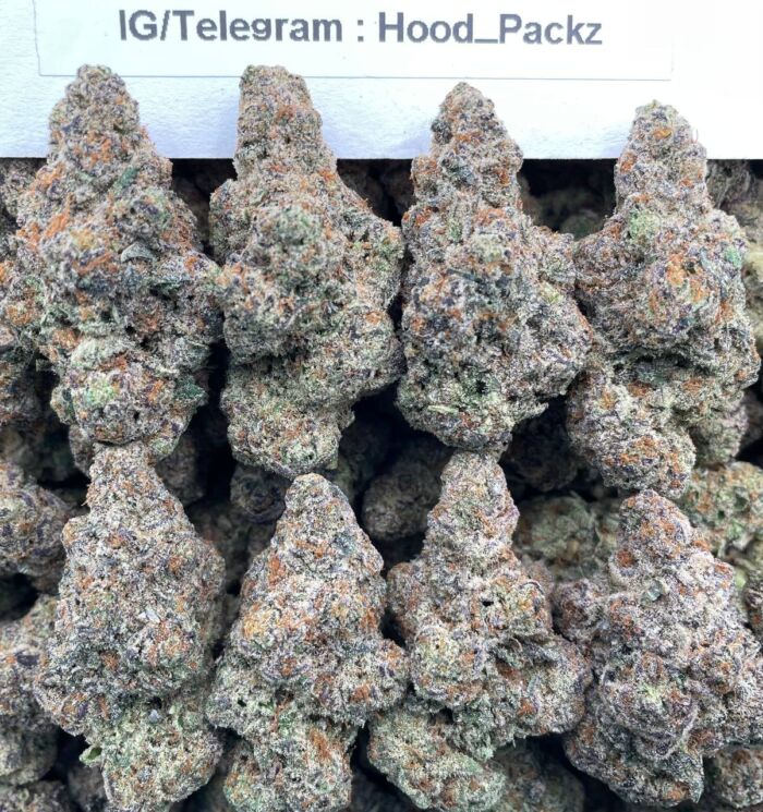 FroZen Bomb BerrieZz 🫐💣 #G009A