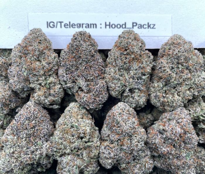 FroZen Galactic Gelato ❄️🧑🏾‍🚀 #G065C