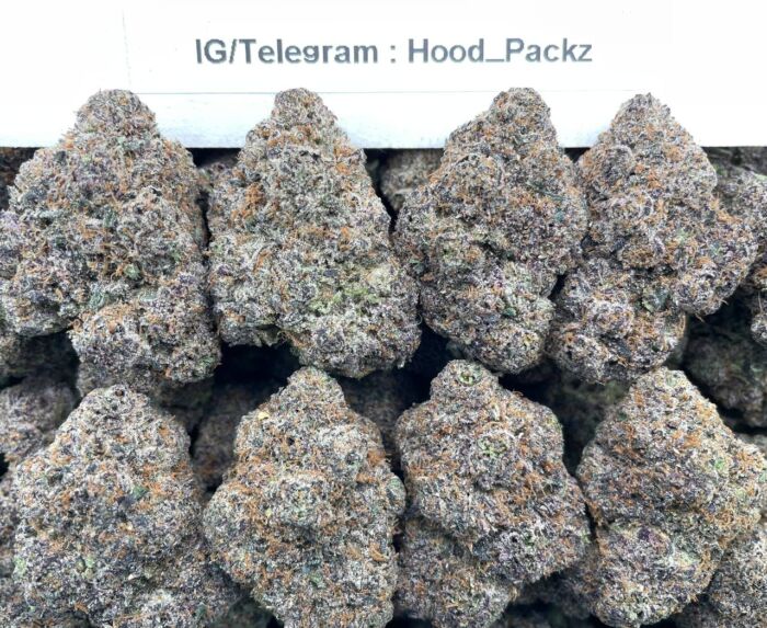 FroZen Purple GaZz 🍇⛽️ #D218B