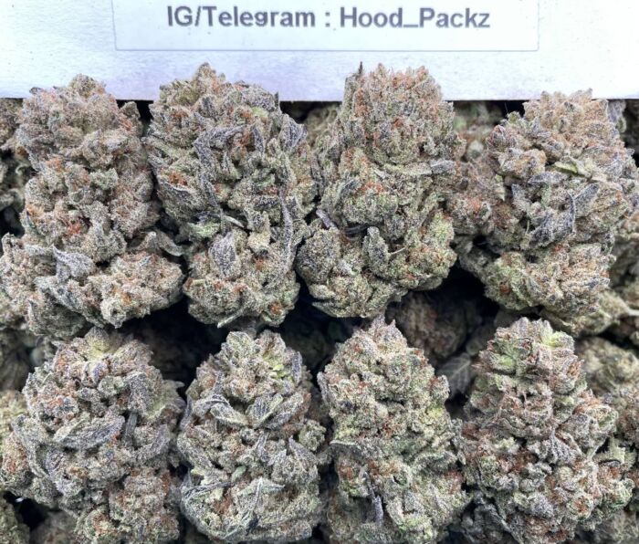 Frosty GelatoZz 🍧🍨 #G020A