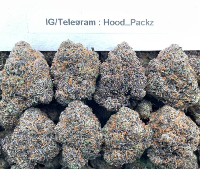 Frosty Grape GumboZz 🍒💣 #D299C