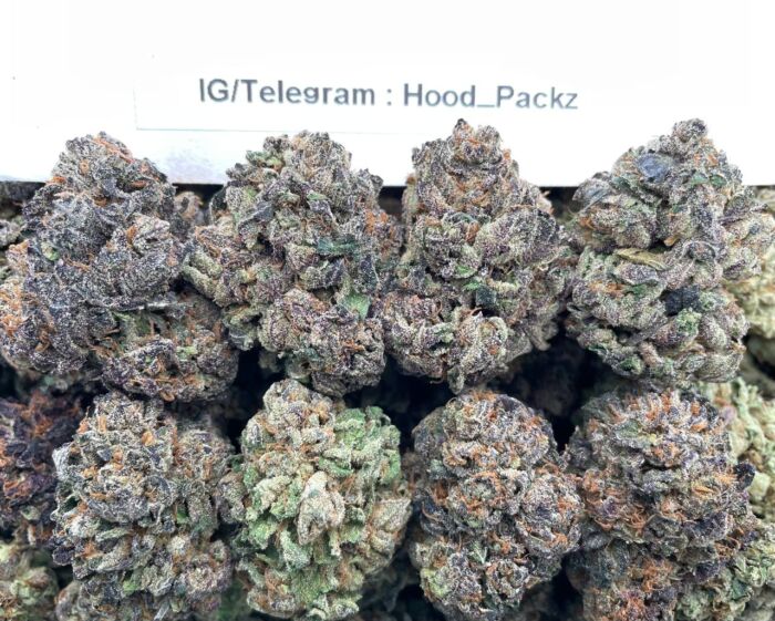 Frosty Purple RuntZz  🍬👾 #G064A