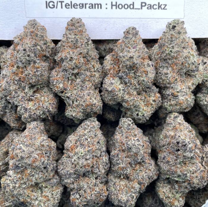 Frosty Sticky Ricky ❄️🍭 #E116B