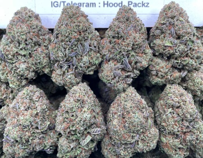 GS JuicyZz 🍬🍇 #E130C