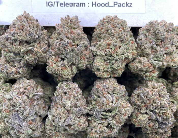 Gelato KingZz 👑🍨 #D219A