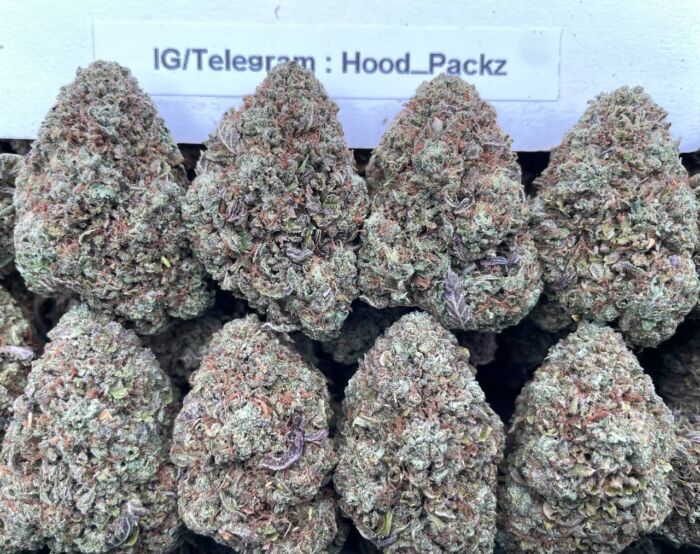 Gelato No13 🍧💯 #G010B