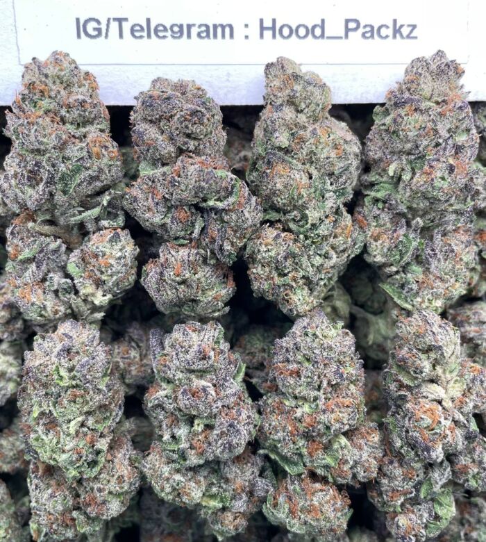 Grape Jelly 🍇🪼 #G089C