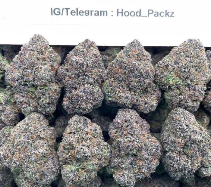 Ice Berry BlitZz 🫐⚡️ #G069B