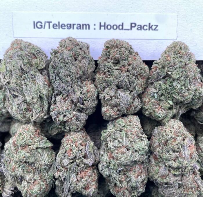 Soft Serve Sherbet 🍦🍧 #G016A